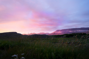 The image features a pink sky over a grassy field with mountains in the background.