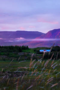 The image features a house in a field with a backdrop of mountains and a colorful sky. The setting appears to be in a rural area in Iceland, with purple and pink hues. The landscape includes grassy fields and a mountainous terrain.