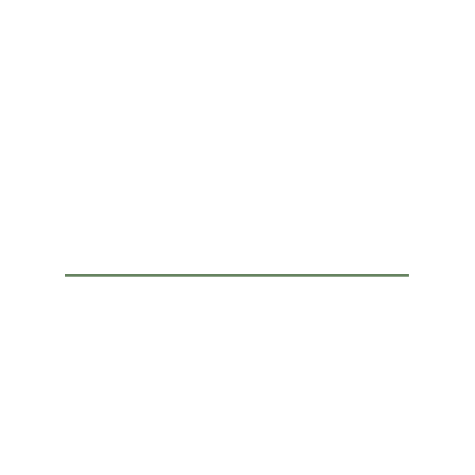 exclusive photography logo white